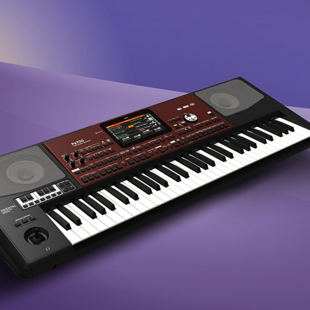 Korg Pa700 ORIENTAL 61 Key Professional Arranger Synthesizer Keyboard