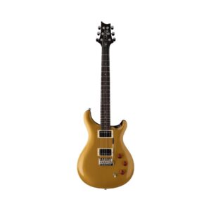 PRS SE DGT David Grissom Signature Moons Inlay Electric Guitar (Gold Top Finish) - PRS SE Gig Bag Included