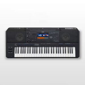 Yamaha PSR-SX900 61-Key Arranger Keyboard + PA300 adaptor