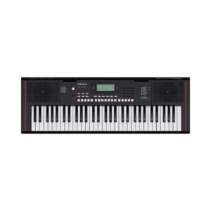Roland E-x10 Arranger keyboard