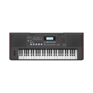 Roland E-x50 Arranger keyboard