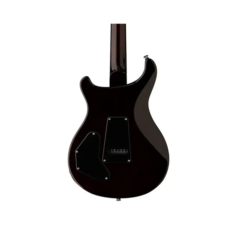 PRS SE DGT David Grissom Signature Birds Inlay Electric Guitar - (McCarty Tobacco Sunburst Finish), PRS SE Gig Bag Included - Image 3