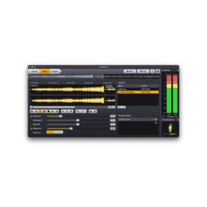 Acon Digital AudioLava 2 - Digital Delivery