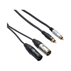 Bespeco EAY2X2R interlink cable featuring 2 RCA connectors and 2 XLR male connectors for audio connections.