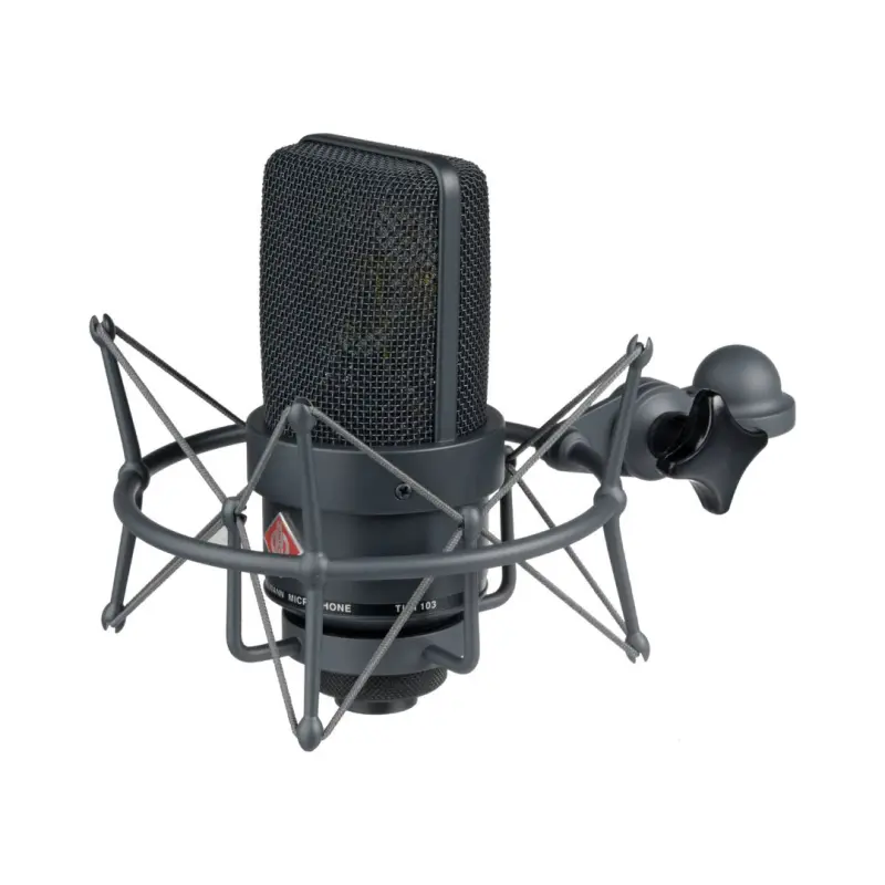 Neumann TLM 103 mt Stereo Set Condenser Microphone (Black) - Image 3
