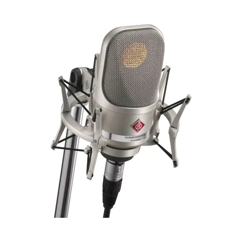 Neumann TLM 107 Studio Set Condenser Microphone (Nickel)