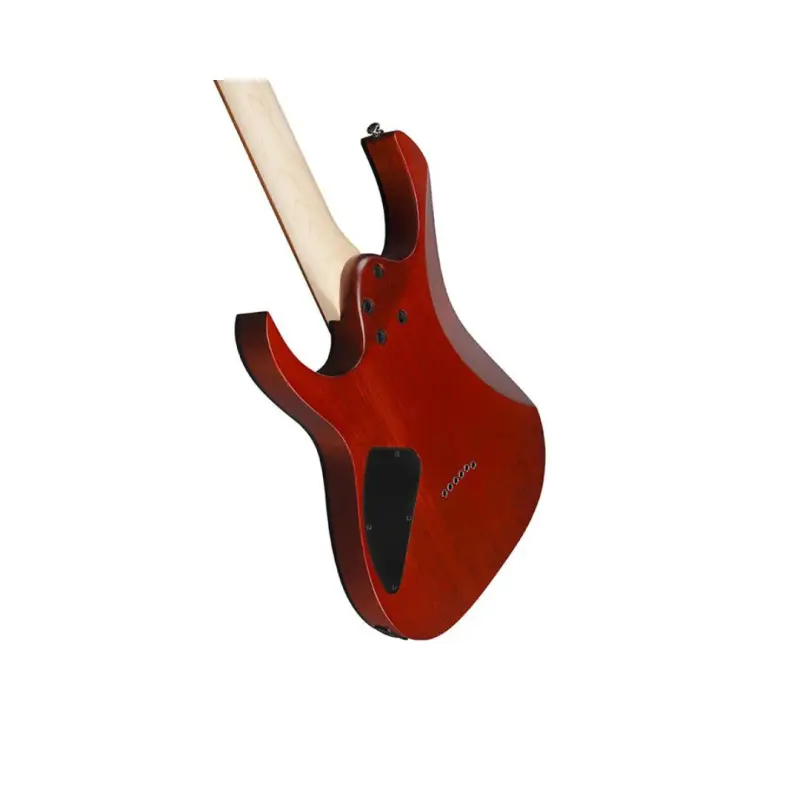 Ibanez RG421PB-CHF Electric Guitar - (Caribbean Shoreline Flat) - Image 5