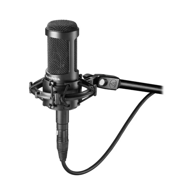 Audio-Technica AT2050 Multi-Pattern Large Condenser Microphone - Image 2