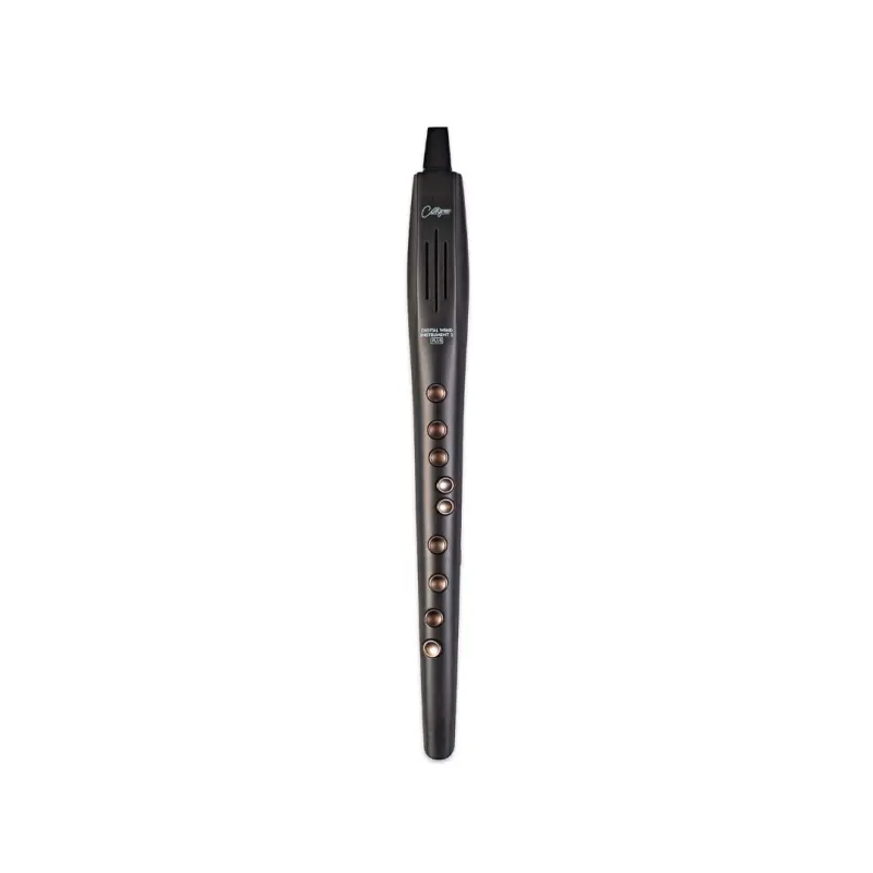 Carry-On Digital Wind Instrument 2 Plus - Black
