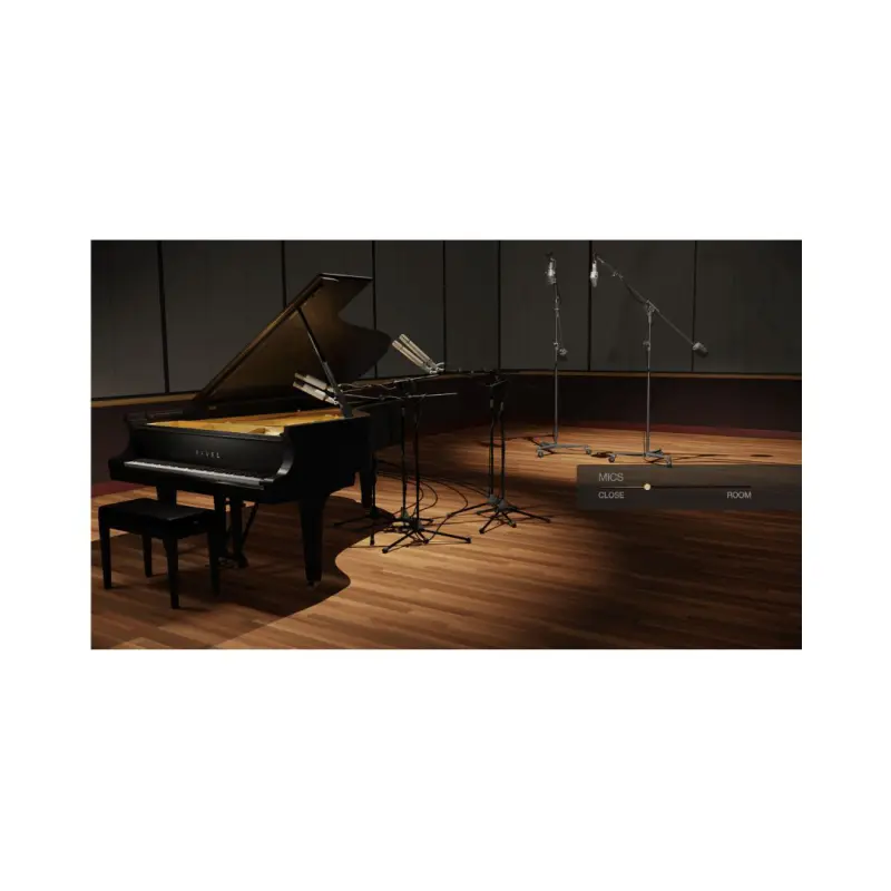 UAD Ravel Instrument Plugin | Digital Delivery - Image 2