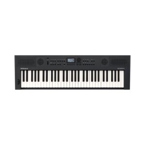 Roland GO:KEYS 5 61-Key Portable Keyboard (Graphite)