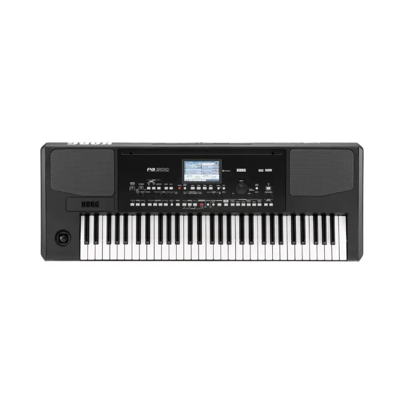 Korg Pa300 61-key Professional Arranger Keyboard