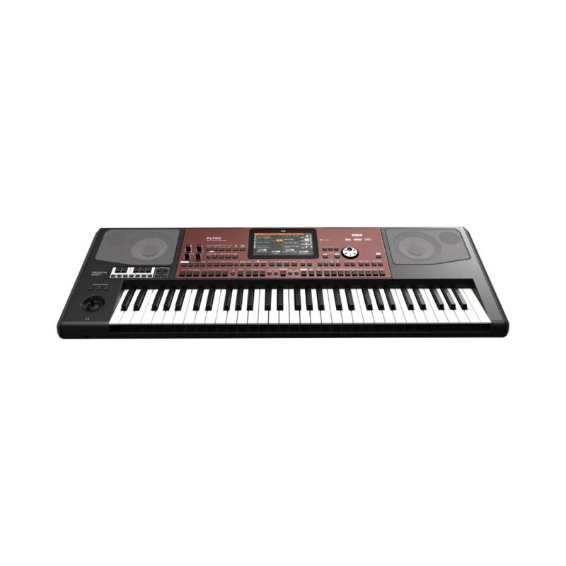 Korg Pa700 ORIENTAL 61-Key Professional Arranger Synthesizer Keyboard - Image 2