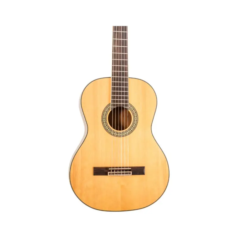 Peavey Delta Woods CNS-2 Classical Nylon String Guitar - Image 3