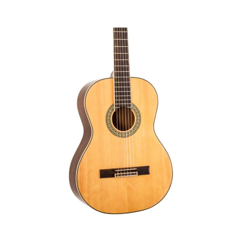 Peavey Delta Woods CNS-2 Classical Nylon String Guitar - Image 4