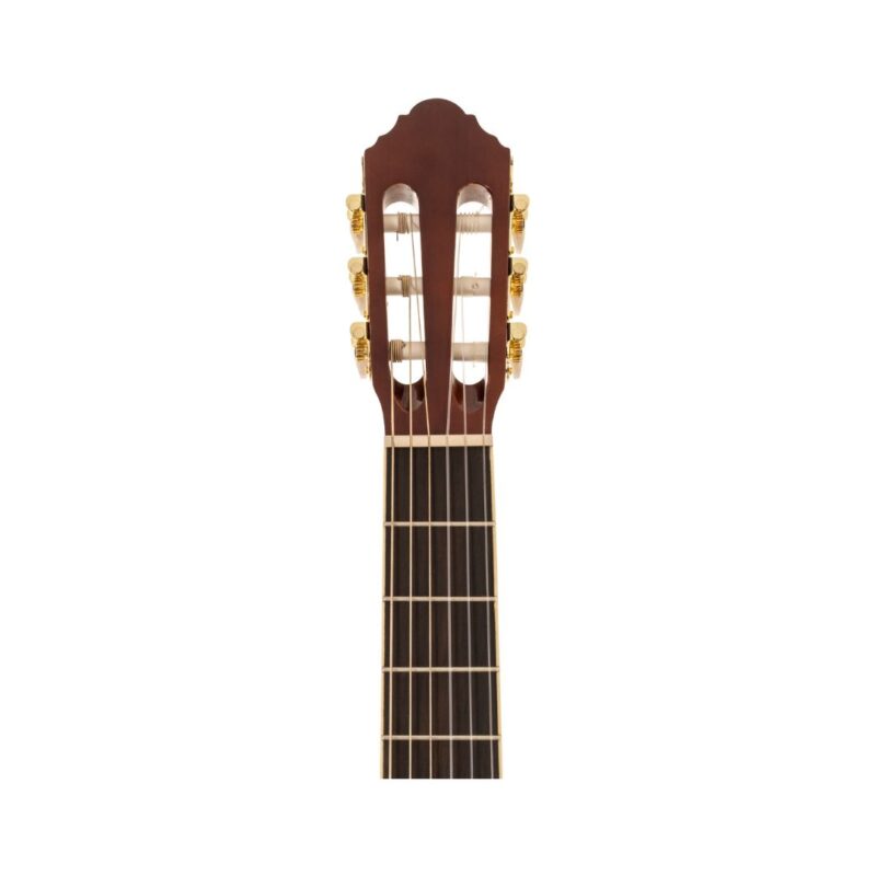 Peavey Delta Woods CNS-2 Classical Nylon String Guitar - Image 6