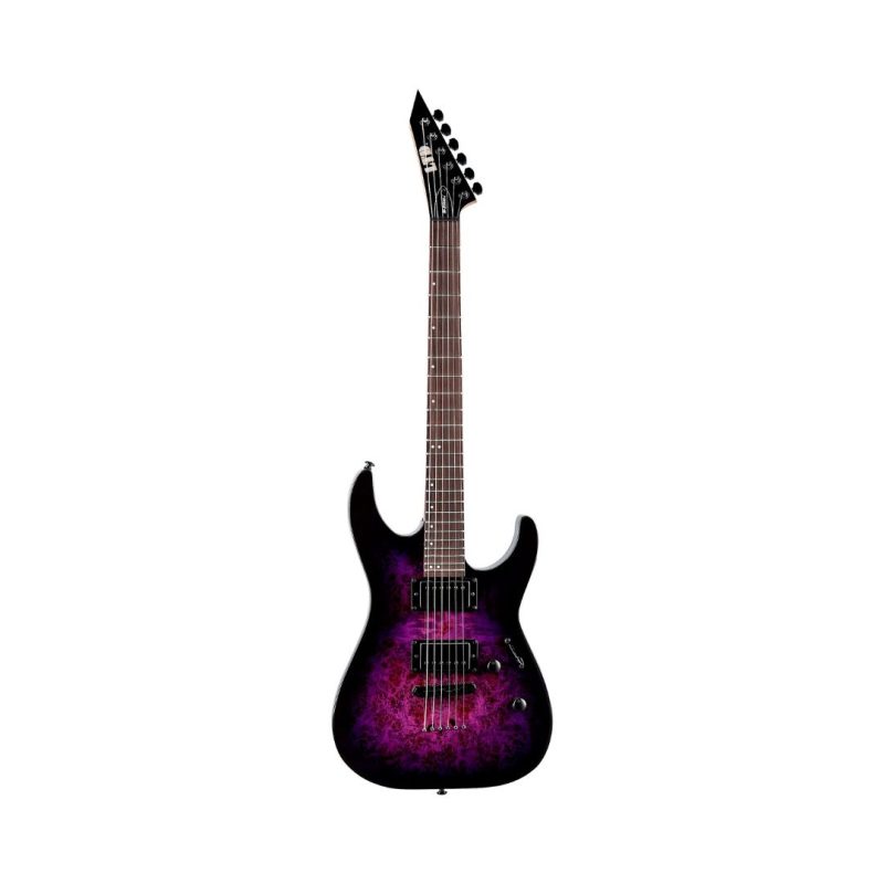 ESP LTD M-200DX Series NT Electric Guitar - Purple Burst