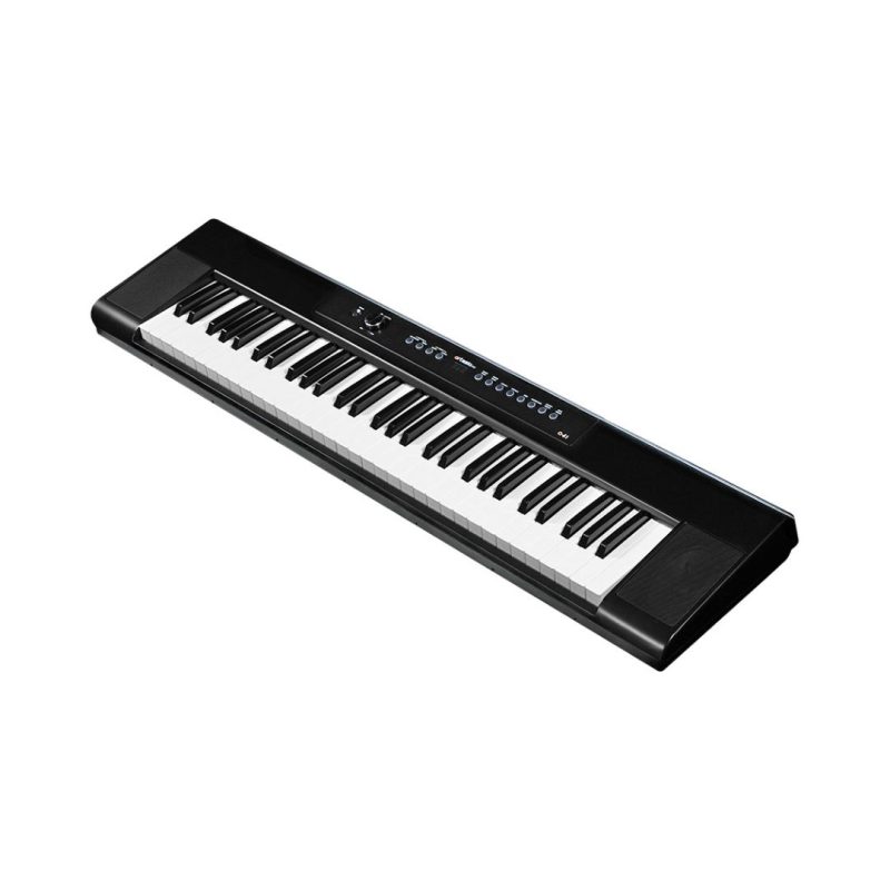 Artesia Pro A-61 Portable Digital Piano with Sustain Pedal - Black - Image 2