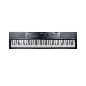Artesia Pro Vivace Pro 88-Key Portable Digital Piano - Black