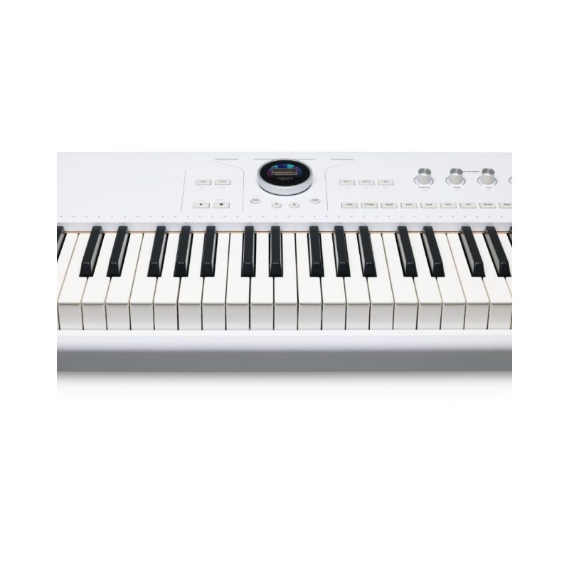 Arturia AstroLab 88 Avant-Garde Stage Keyboard with Analog Lab Pro - Image 6