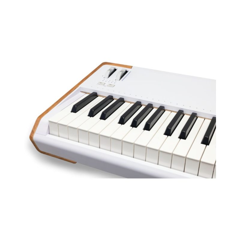 Arturia AstroLab 88 Avant-Garde Stage Keyboard with Analog Lab Pro - Image 7