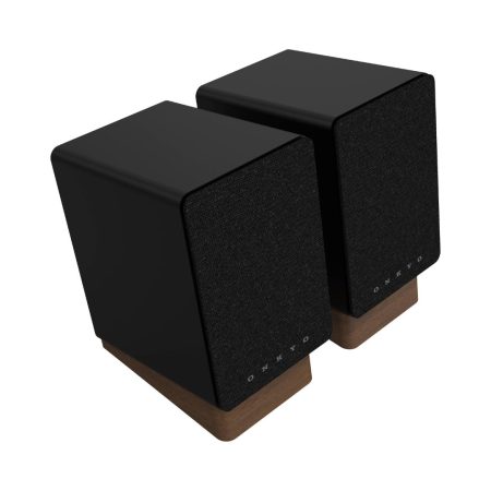 Onkyo GX-10DB pair of black speakers set against a white backdrop, highlighting their contemporary style and features.