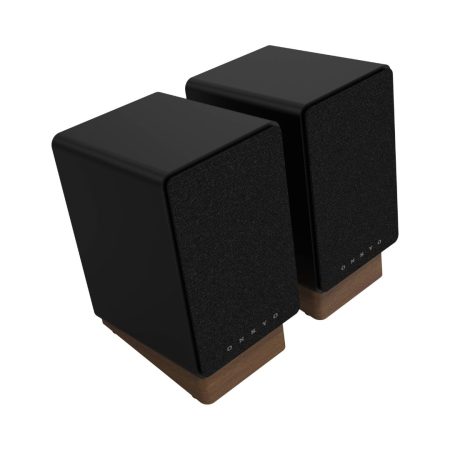 Onkyo GX-30ARC pair of black speakers set against a white backdrop, highlighting their contemporary style and features.