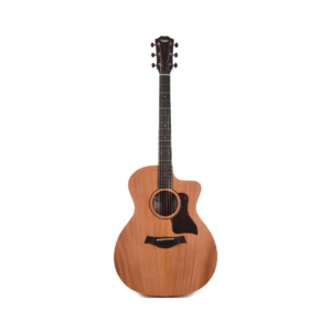 1. Taylor 24ce Grand Auditorium semi-acoustic guitar in natural finish, showcasing its elegant design and craftsmanship.