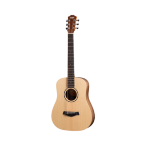 Taylor BT1 Layered Walnut Semi Acoustic Guitar in natural finish, showcasing its elegant design and craftsmanship.