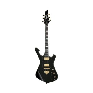 1. Ibanez Paul Gilbert Signature FRM350 electric guitar in black, featuring a sleek design and distinctive shape.